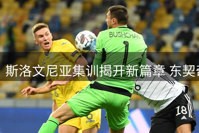 斯洛文尼亚集训揭开新篇章 东契奇领衔湖人阵容磨合之旅