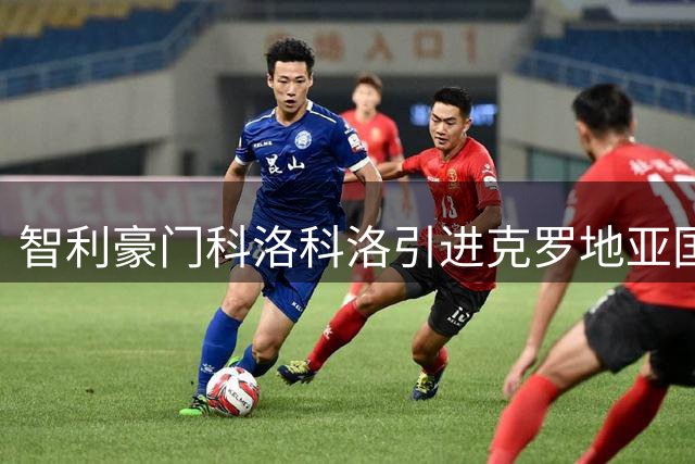 智利豪门科洛科洛引进克罗地亚国脚沃西尼亚